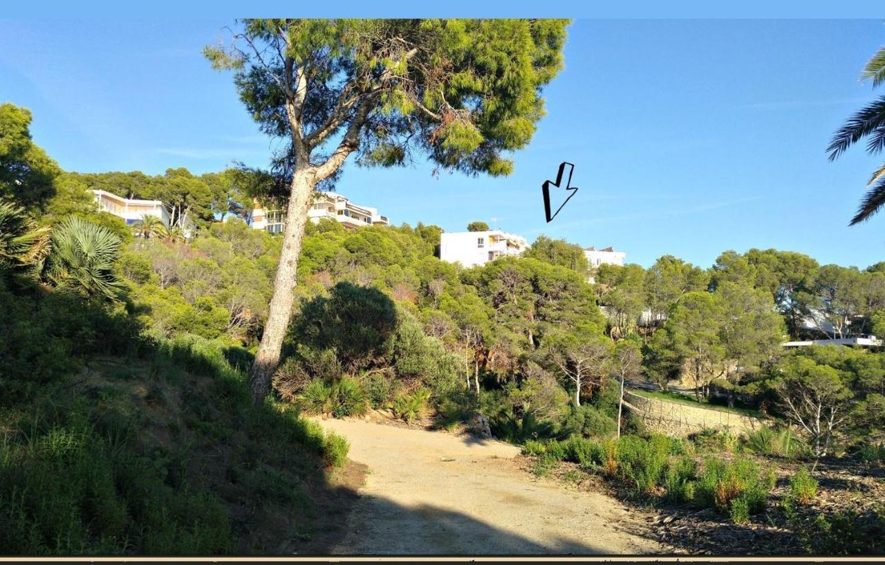Aguila Dorada Apartment Salou